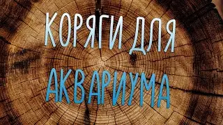 Коряги для аквариума