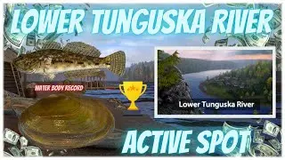 Russian Fishing 4 Lower Tunguska River Active Spot