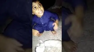 funny cats and kittens meowing complication.cats fun.cats fight.cats with kids.cats videos