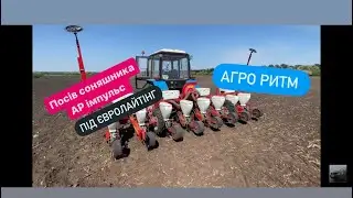 Посів соняшник 2024 від  компанії «АГРО-РИТМ» АР імпульс.