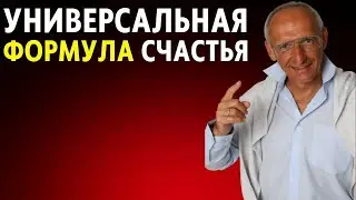 Как Стать Счастливым и От Чего Зависит Счастье (Торсунов О. Г.)