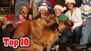 Top 10 AWKWARD FAMILY PHOTOS (Holiday Edition)
