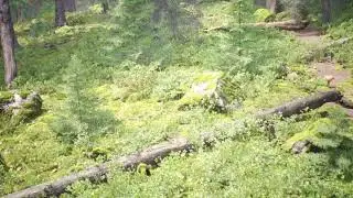 realistic forest in Unreal Engine 5 with raytracing