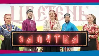 Цветень - Залётка | ПРЕМЬЕРА ПЕСНИ