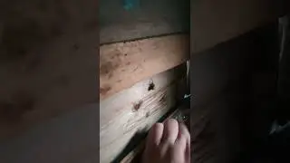 Рыбацкий летний домик