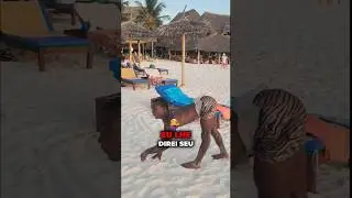 Esse Cara Tem Um Talento Incrível 