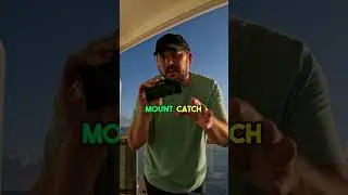Monocular Telescope:  Ocean Views and Dolphins!  