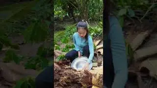 Đi bắt đuông dừa làm món ngon đặc biệt
