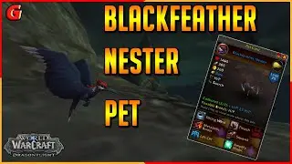 Get This HIDDEN PET In Just 1 Minute - Blackfeather Nester Pet