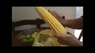 DERİN DONDURUCUYA MISIR NASIL KONULUR