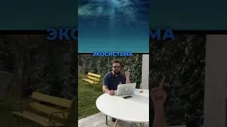 "Разгадывая Тайны Моря: Погружение в Морские Экосистемы 🌊"