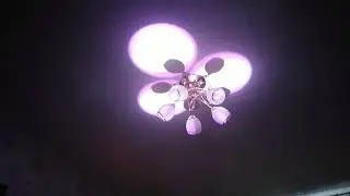 Shehds LED Spot 80W Lighting With 3 Fase Prism (auto mode)