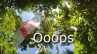 Tight Paragliding Landings... and one on a Tree