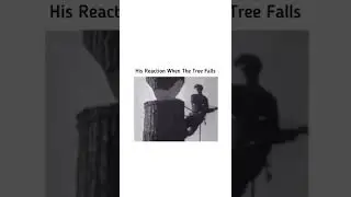His Reaction When The Tree Falls