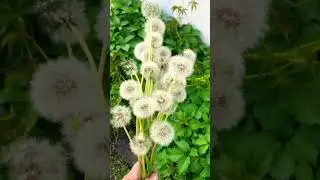 Эксклюзив!Букеты  