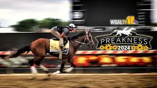 Preakness 2024 : The Race for Glory