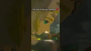 The King of Hyrule's Sacrifice ❤