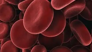 Blood Biology