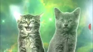 Мяу мяу
