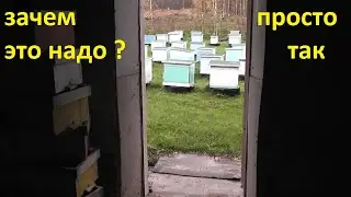 пробую третий мой способ зимовки запасных маток