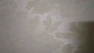 Flowers and petals Cream Color background video