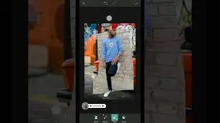 picart editing background change 