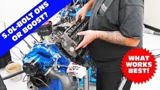 HOW TO MAKE 5.0L POWER-BOLT ONS VS BOOST. SHOULD YOU PICK HEADS, CAM & INTAKE OR JUST ADD A TURBO?