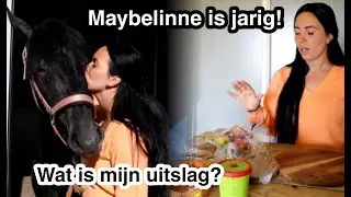 TAART MAKEN VOOR MIJN PAARD / UITSLAG KNHS ONLINE WEDSTRIJD! | Daniella van der Werf