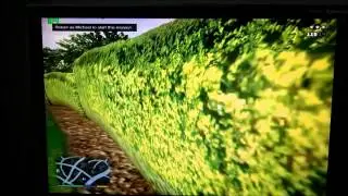 Grand Theft Auto 5 PC FPS TEST:Intel Core 2 Duo E7400,Nvidia GeForce 9600gt 512mb VRAM