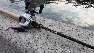 JS Bixod B1 BC610MH R