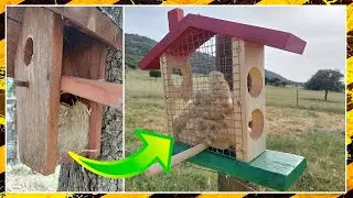 porta pelo para los nidos de pajaro