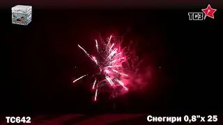 ТС642 Снегири