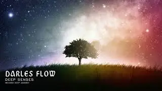 Darles Flow | Deep Senses | Planet Orbitar | Atmospheric Deep House Music
