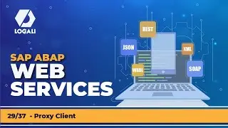 29/37 WEB SERVICE - PROXY CLIENT