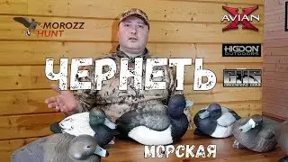 Avian-X, GHG and Higdon Sturgeon Stuffed Fish Review