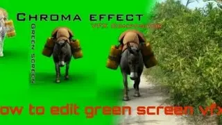 Green screen chroma key tutorial  in kinemaster apk  for android mobile