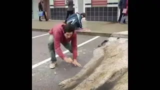 Рисует Мишку на асфальте в 3 D....