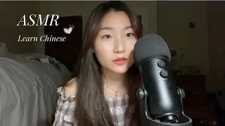 [ASMR] Learn Chinese while you sleep! Essential Chinese words and phrases  for daily conversation💛