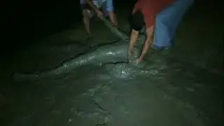 ভয়ানক ভুতুড়ে অপবিত্র জায়গা ghost video