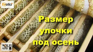 #размер_улочки