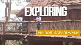 A day in the Wild | Nairobi Safari Walk 🚶‍♂️