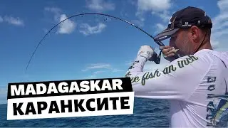ЩТРАКАЧИТЕ ОСВИРЕПЯХА ... / Приключението Мадагаскар - Каранксите - 5 част