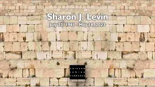 Sharon J. Levin