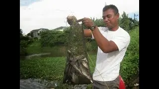 Cara Cepat Mendapatkan Ikan "Tradisional"