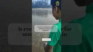 Is every behaviour for sensory reasons in Autism