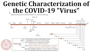 COVID-19 Paper Results: Genetic Characterization of the "Virus"