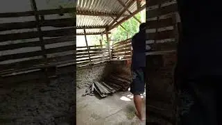 nag panday na pod xa