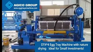High-Efficiency 6*8 Egg Tray Machine: Advanced Features and Energy-Saving Drying Options