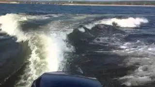 Cobra 2050ob под Evinrude 225