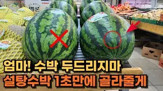 수박 두드리지 마세요 1개만 확인하세요 (수박 고르는 법, 수박 보관법)